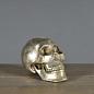 Статуэтка Ateliers C&S Davoy Iron Skull Small
