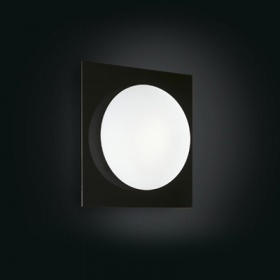 Настенный/Потолочный светильник Leucos GIO 40 P-PL Black