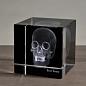 Аксессуар Ateliers C&S Davoy Skull 3D Large