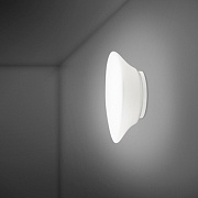 Настенный/Потолочный светильник Fabbian F07G1701