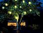 Подвесной светильник Rotaliana LAMPION H2 verde