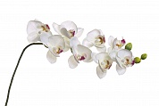 Орхидея белая 85 см (12) Garda Decor 8J-1219S0003