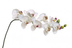 Орхидея белая 85 см (12) Garda Decor 8J-1219S0003