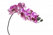 Орхидея розовая 85 см (12) Garda Decor 8J-1219S0004