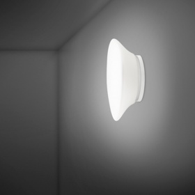 Настенный/Потолочный светильник Fabbian F07G1501