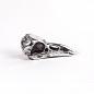 Статуэтка Seletti Wunderkammer Bird Skull