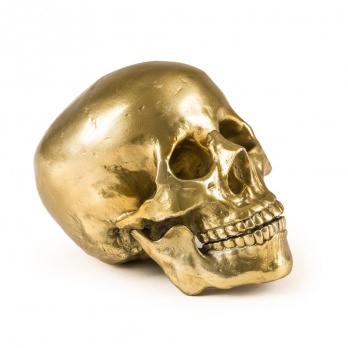 Статуэтка Seletti Wunderkrammer Human Skull